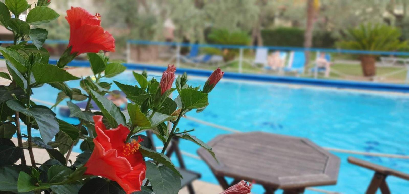 Tsigoura Verde Resort Mikros Prinos Exterior photo